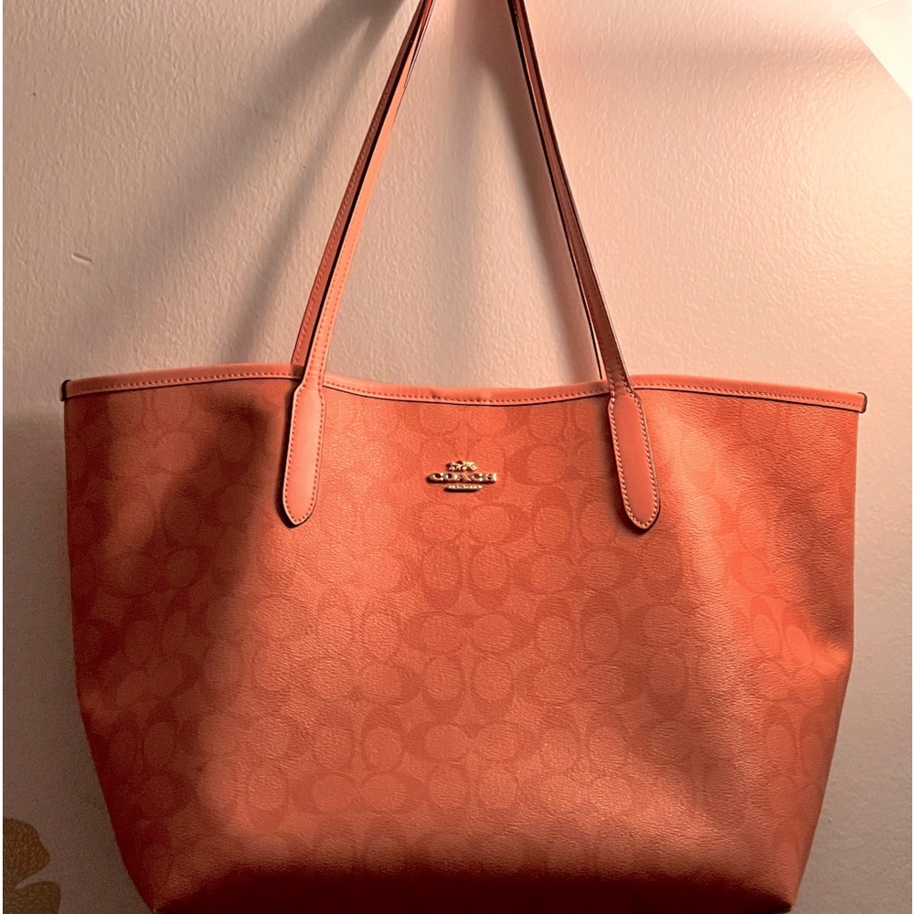 Coach “a throw all bag “ plus lap top. Very convenient bad to have.